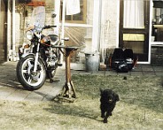 foto2  Foto gemaakt in de achtertuin Leusden tussen 1987 en 1989. Motor is van Ben van der Linden (Corrie).